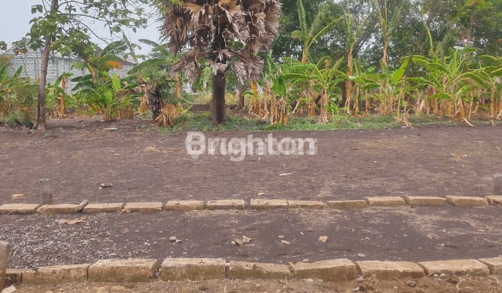 TANAH KECIPIK BOTENG MENGANTI GRESIK SIAP BANGUN 2