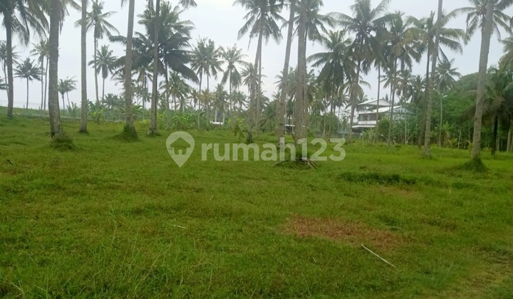 TANAH VIEW PANTAI COCOK UNTUK VILLA, CAFE DI PANGANDARAN TANAH VIEW PANTAI COCOK UNTUK VILLA, CAFE DI PANGANDARAN