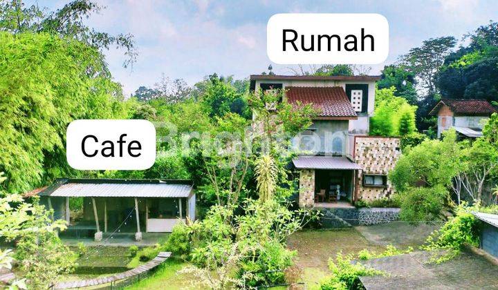 TANAH BONUS BANGUNAN BERSENI, JAKAL STRATEGIS, COCOK UNTUK CAFE, VILLA, TEMPAT HEALING 1