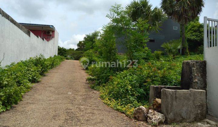 Tanah Murah Sikumana Bagus Langka Kupang 1