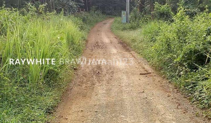 Kavling Tanah Dekat dengan Pantai Anyer Area Serang Banten