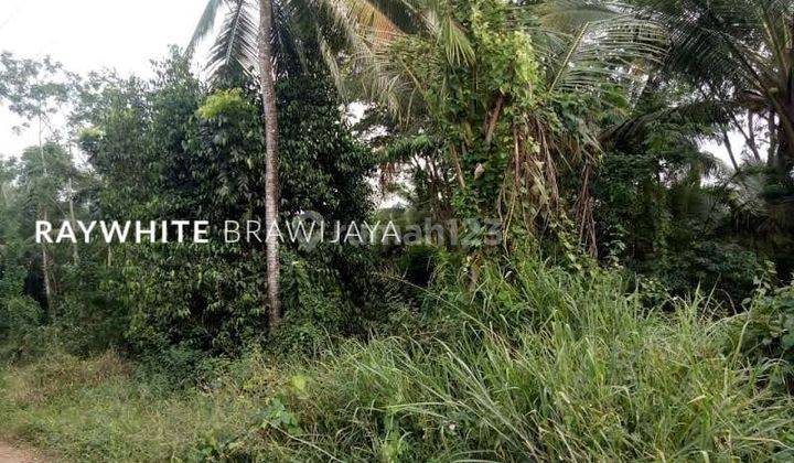 Kavling Tanah Dekat dengan Pantai Anyer Area Serang Banten 2