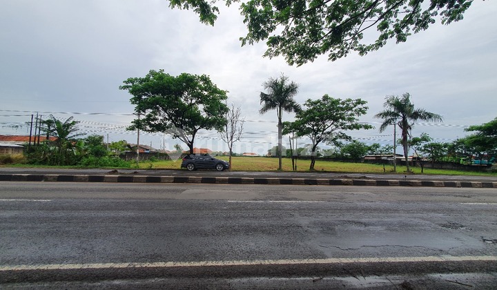 Tanah Di Pangenan Kanci