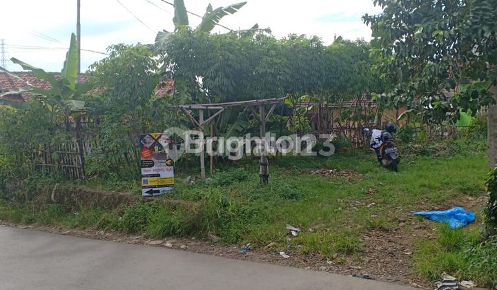 LAND AREA 321M, VERY CHEAP HOOK LOCATION SAREAL LAND. LAND AREA 321M, VERY CHEAP HOOK LOCATION SAREAL LAND.