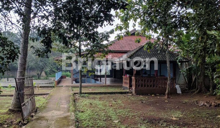 TANAH STRATEGIS CISEENG PARUNG BOGOR TANAH STRATEGIS CISEENG PARUNG BOGOR