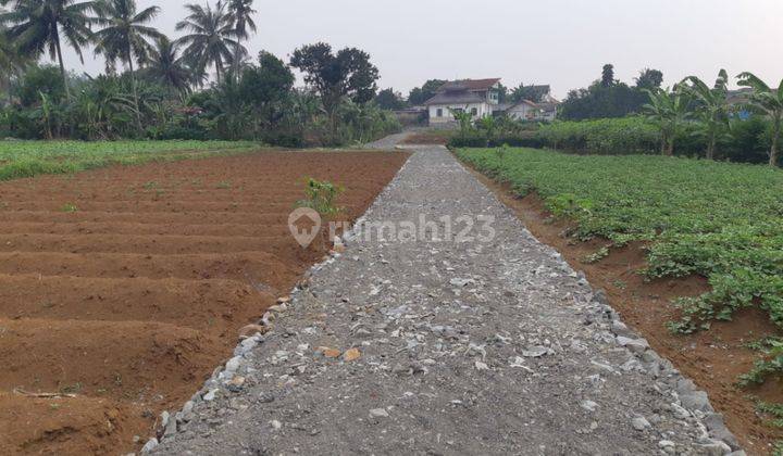 Tanah Siap bangun dekat kampus IPB Kp Kondang Bojong Jengkol 1