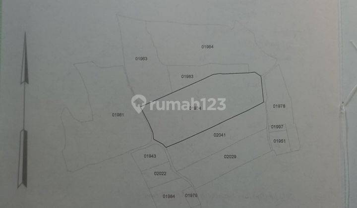 Tanah Siap bangun dekat kampus IPB Kp Kondang Bojong Jengkol 2