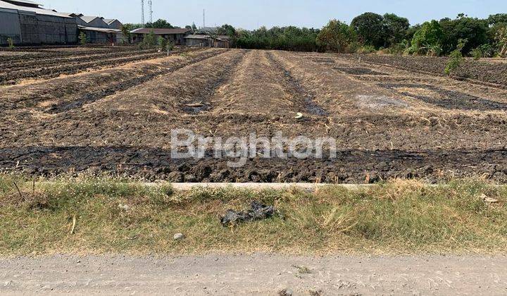 Tanah Rata Prospektif Bisa Untuk Gudang Area Menganti Gresik 1