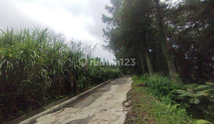 Tanah 4.4ha Dekat Highland Resort Sukajadi Tamansari Kab Bogor 2