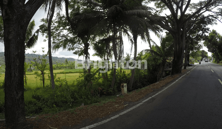 Land on the outskirts of Singaraja Gilimanuk Highway 1