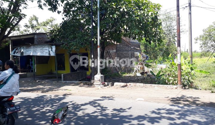 DIBAWAH HARGA PASAR, TANAH LUAS, STRATEGIS DAN JALAN LEBAR 1