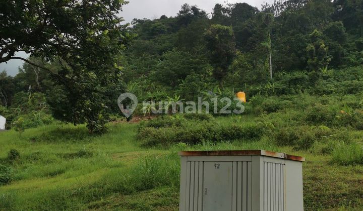 MURAAH BGT Seblh CAFE OLIVE BRANCH, OREGI KAVL TAMAN DAYU HGB