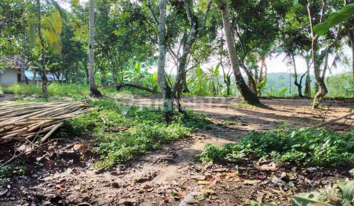 Tanah Darat 5.2 Ha Di jual Cepat,