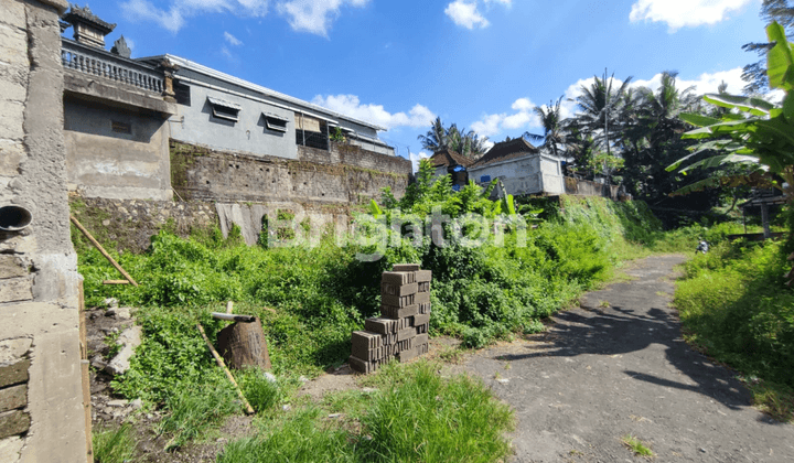 TANAH KOSONG LOKASI TENANG COCOK UNTUK HUNIAN (Harga NEGO) 2