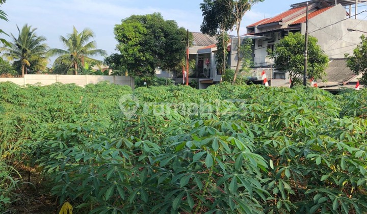 Tanah Kav Siap Bangun Mega Sentul Cijujung Sukaraja