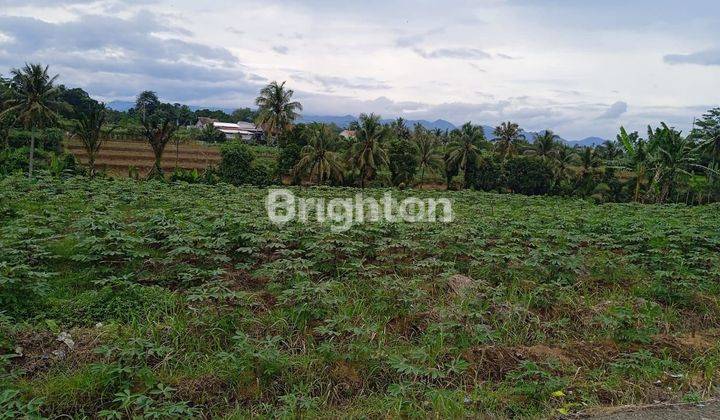 TANAH DATAR DENGAN KOMPLEK PERUMAHAN 1