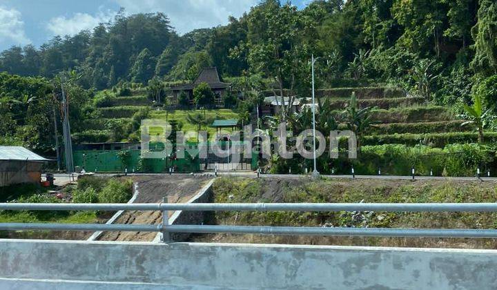 Tanah di Bedugul 1500m2 bonus Villa 1