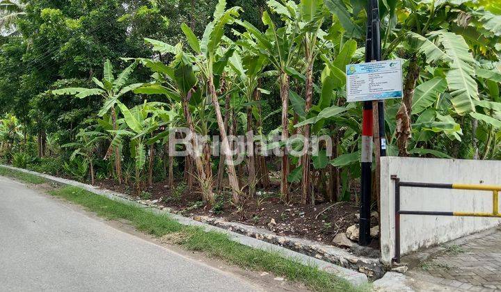 JARANG ADA TANAH LUAS 200-AN M PINGGIR JALAN ASPAL, SELATAN UMY 1