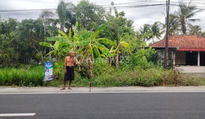 Tanah SHM 314 Meter Persegi Lokasi Strategis Dekat Bandara YIA Kulonprogo 2