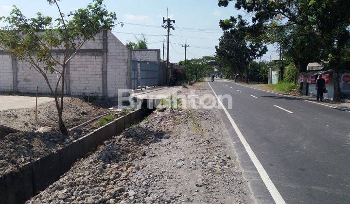 TANAH GEDONGAN DI TENGAH KOTA SOLO 2