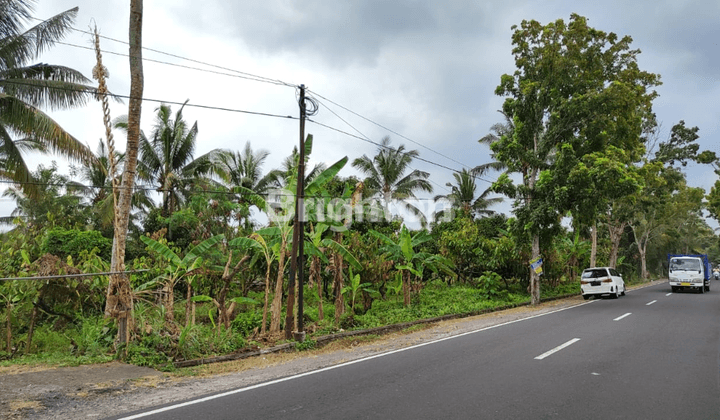 GARDEN LAND ON THE SIDE OF THE MAIN PUPUAN ROAD 1