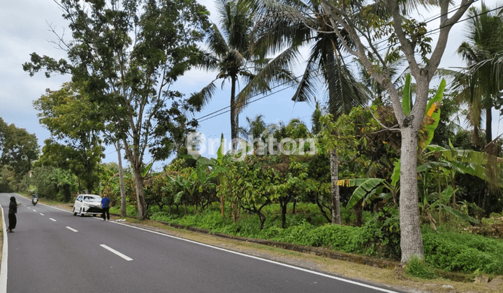 GARDEN LAND ON THE SIDE OF THE MAIN PUPUAN ROAD 2