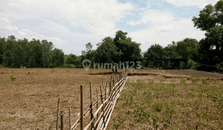 Tanah Siap Bangun Di Desa Benteng Gajah Tanralili Maros 2