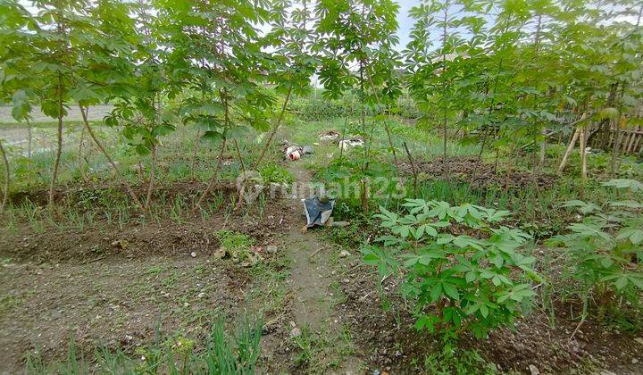 Di  Cepat Tanah Di Kajim Margasari Buah Batu Bandung 1