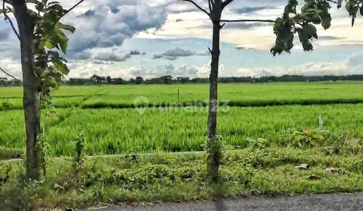 TANAH INDUSTRI SIAP BANGUN DI SRAGEN, JAWA TENGAH 2