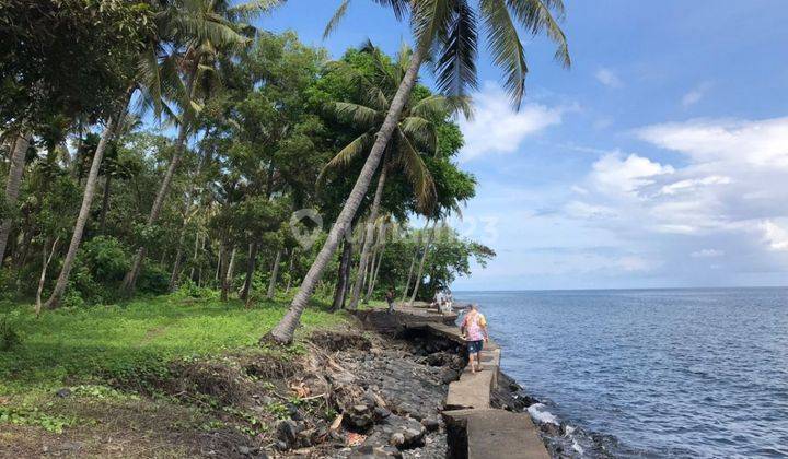 Land Suitable for Villas and Near Tejakula Beach Buleleng Bali S7232 1