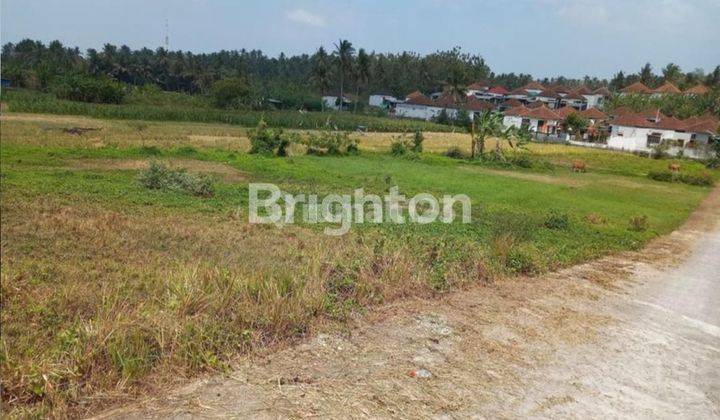 PLOT LAND READY TO BUILD IN TABANAN 1