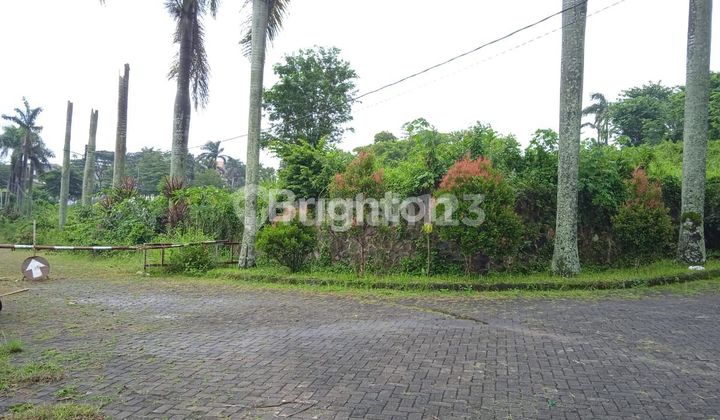 Booring Hill Side, Malang: Booring Hill Side, Malang: