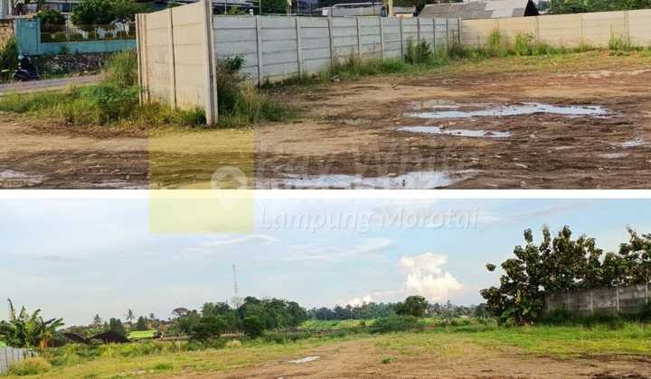 Ready-to-Build Industrial and Factory Land in ml