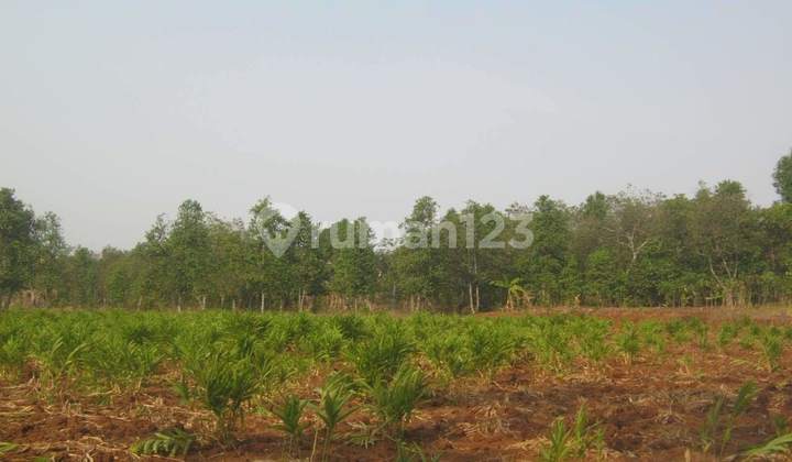 Tanah Kavling Siap Bangun Di Taman Sari Setu Bekasi S7179 Tanah Kavling Siap Bangun Di Taman Sari Setu Bekasi S7179