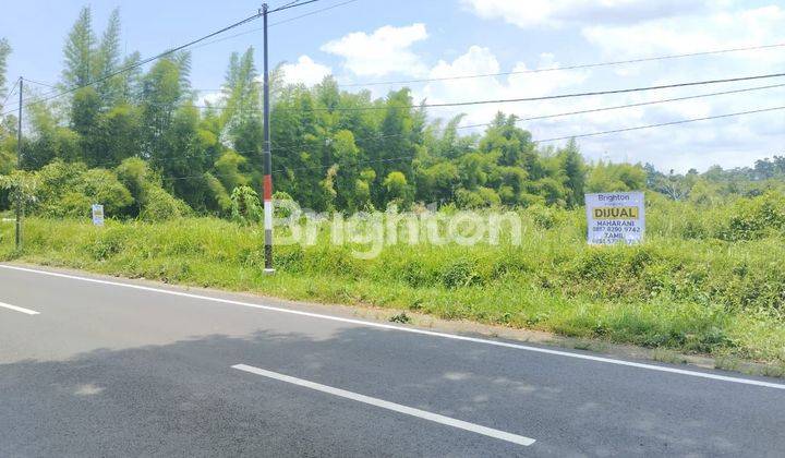 Tanah ngantong nol jalan Raya samping cafe Omah Semar Poncokusumo Kab.Malang 1