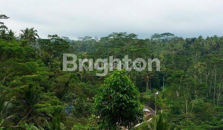 LAHAN DENGAN VIEW JUARA DI PAYANGAN, UBUD - BALI 1