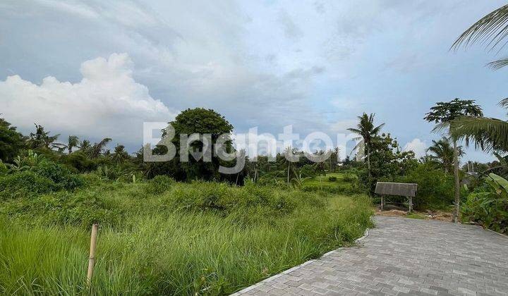 LAHAN SANGAT BAGUS DAN LOS SUNGAI DI KENGETAN, UBUD - BALI 1