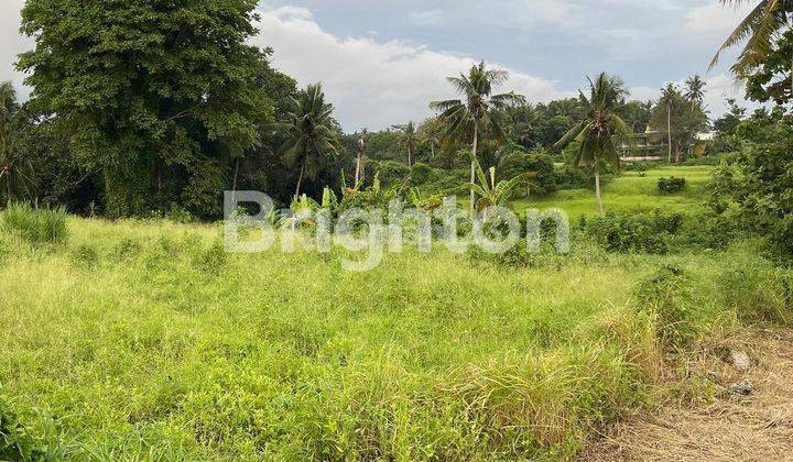 LAHAN SANGAT BAGUS DAN LOS SUNGAI DI KENGETAN, UBUD - BALI 2