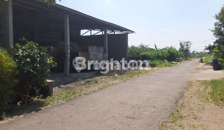 TURUN HARGA LAHAN LUAS EX PABRIK TULUNGAGUNG BISA NEGO HGB PANJANG TURUN HARGA LAHAN LUAS EX PABRIK TULUNGAGUNG BISA NEGO HGB PANJANG