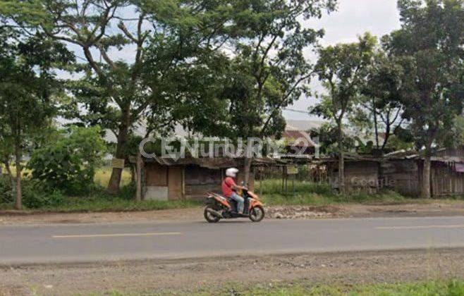 Tanah Di Jl Raya Lingkar Selatan Mainroad Cianjur 1