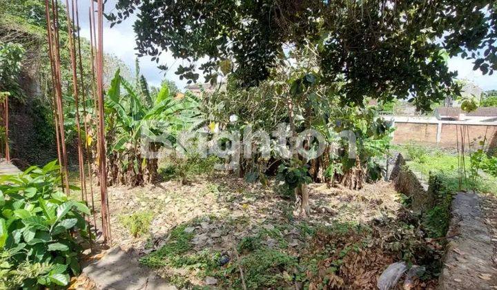 STRATEGIC LAND IN MUDING CLOSE TO KEROBOKAN AND CANGGU 1