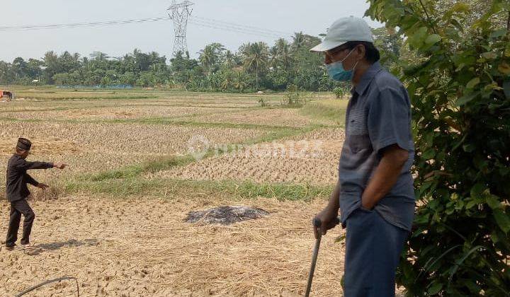 Tanah Murah  Cocok Buat Perumahan 1