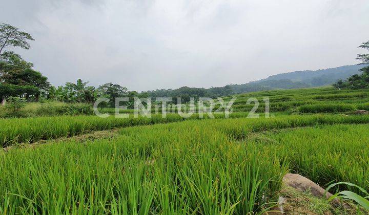 Tanah Kavling Di Jaboticaba Riverside Jonggol Bogor S7249 1