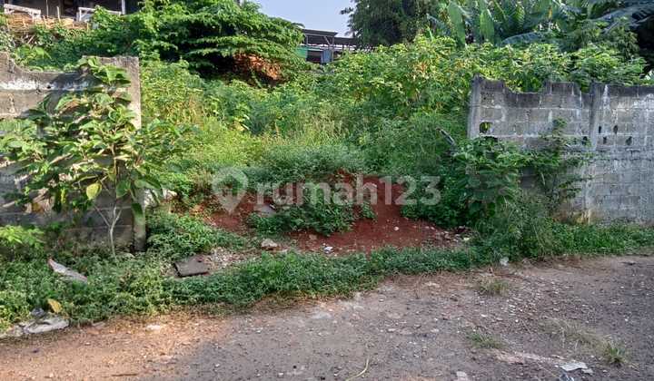 **LAND  BILLY MOON PONDOK KELAPA**