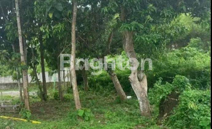 EXCLUSIVE GOA GONG AREA LAND 1