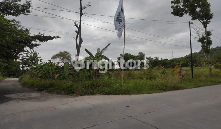 TANAH STRATEGIS DI MRANGGEN DEMAK TANAH STRATEGIS DI MRANGGEN DEMAK