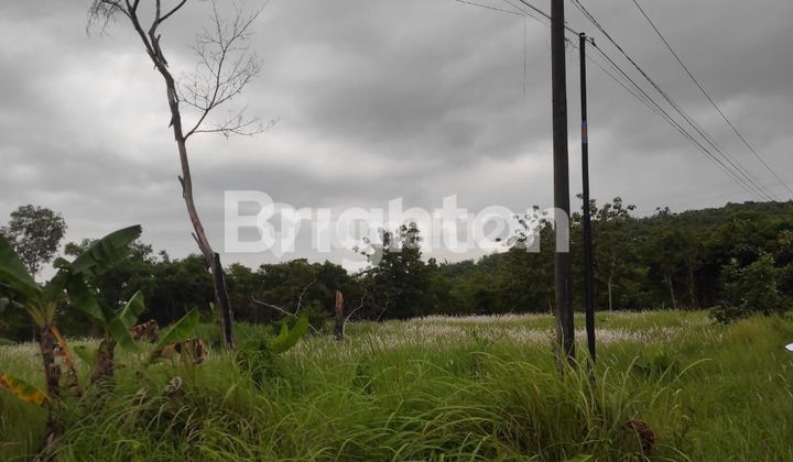 TANAH STRATEGIS DI MRANGGEN DEMAK TANAH STRATEGIS DI MRANGGEN DEMAK