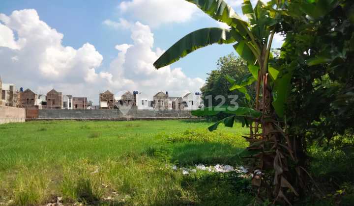 Land Area 4399 Square Meters Location Jambidan Banguntapan Bantul Land Area 4399 Square Meters Location Jambidan Banguntapan Bantul
