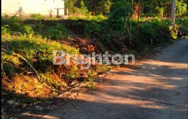 TANAH LUAS DI BELACATUR DEKAT PERUMAHAN MEWAH GRAND MUTIARA JOGJA BARAT