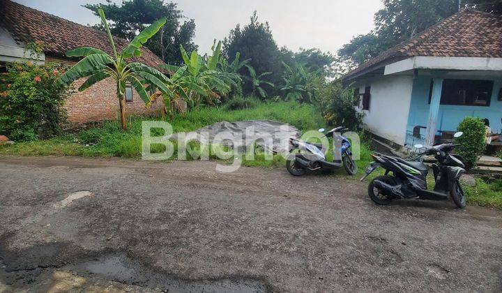 tanah kampung ngantong  -/+ 3000 m2 SHM, cocok untuk Investasi 2